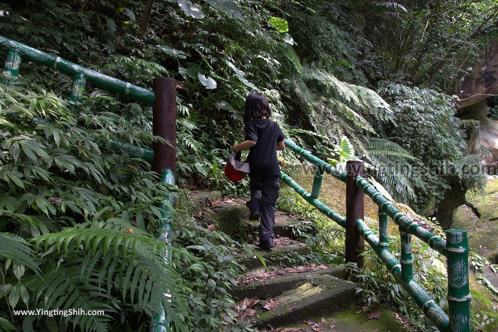 YTS_YTS_20180902_基隆暖暖暖東峽谷／最天然盪鞦韆／超長滑瀑Keelung Nuannuan Nuandong Valley145_3A5A0643.jpg