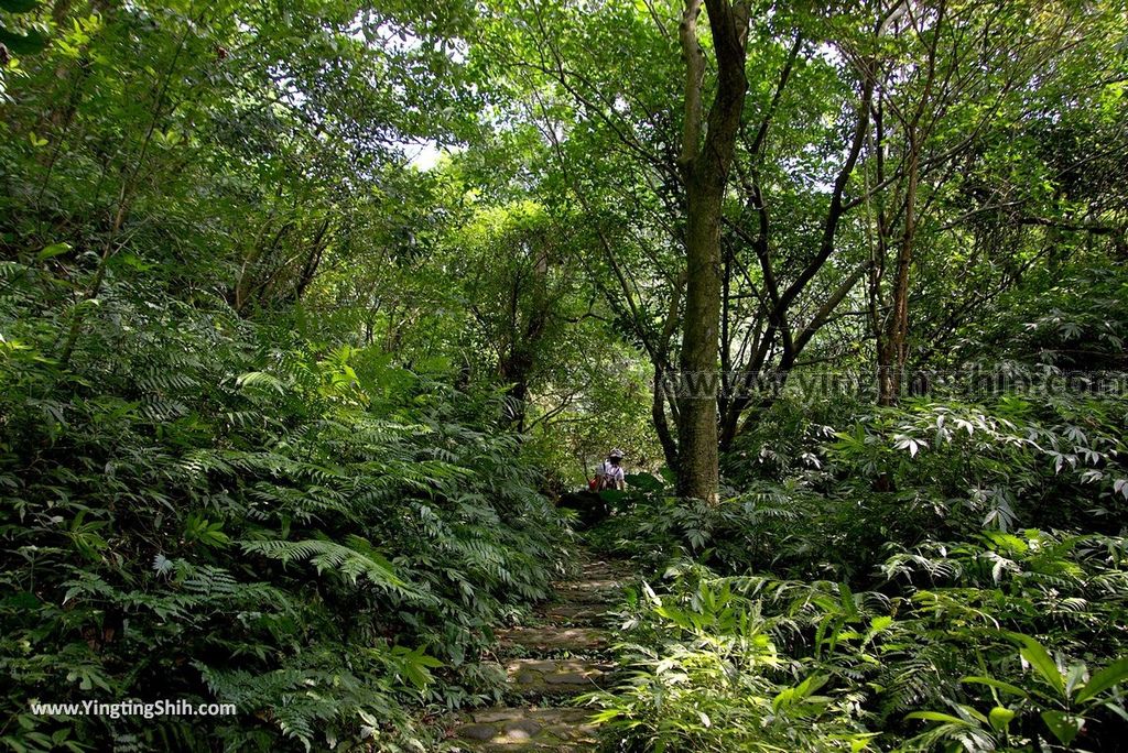 YTS_YTS_20180902_基隆暖暖暖東峽谷／最天然盪鞦韆／超長滑瀑Keelung Nuannuan Nuandong Valley147_3A5A0716.jpg