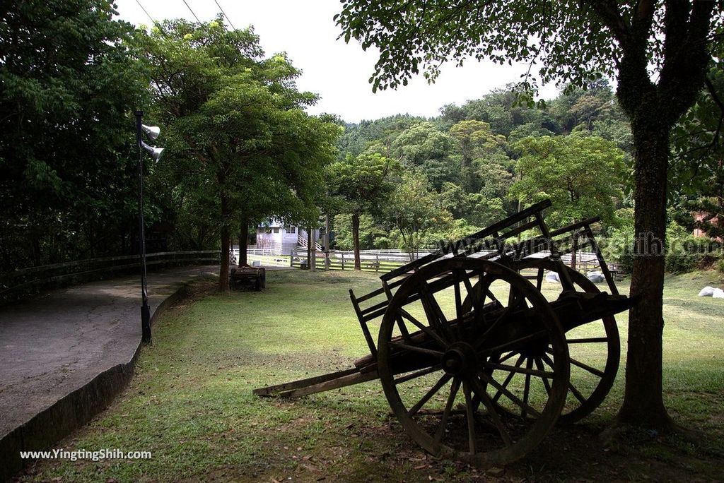 YTS_YTS_20180726_新北三峽皇后鎮森林／露營烤肉親子餐廳New Taipei Sanxia Queens Town Campground123_3A5A1635.jpg