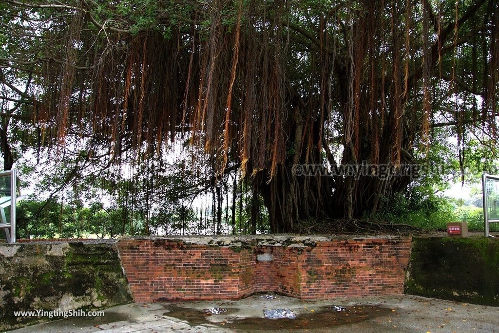 YTS_YTS_20180802_台南安平二鯤鯓砲臺／億載金城Tainan Anping Erkunshen Fortress／Eternal Golden Castle070_3A5A1790.jpg