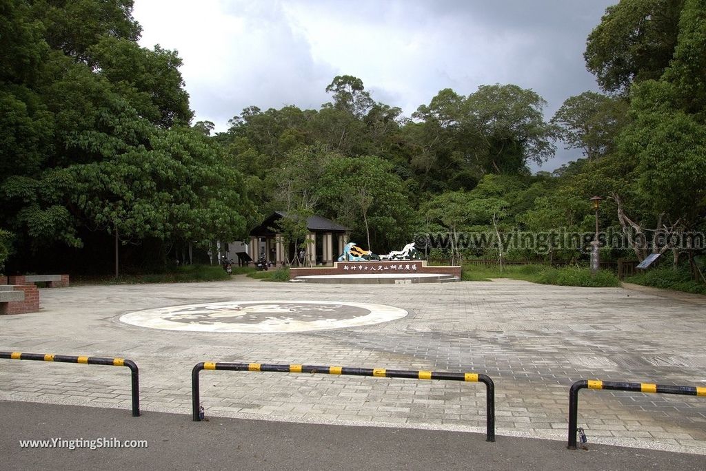 YTS_YTS_20180727_新竹東區高峰植物園／桐花天空之橋Hsinchu East District Gaofeng Botanical Garden006_3A5A1873.jpg