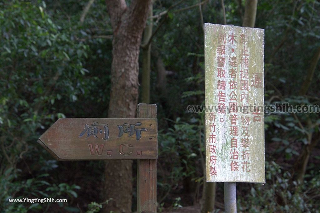 YTS_YTS_20180727_新竹東區高峰植物園／桐花天空之橋Hsinchu East District Gaofeng Botanical Garden049_3A5A2235.jpg