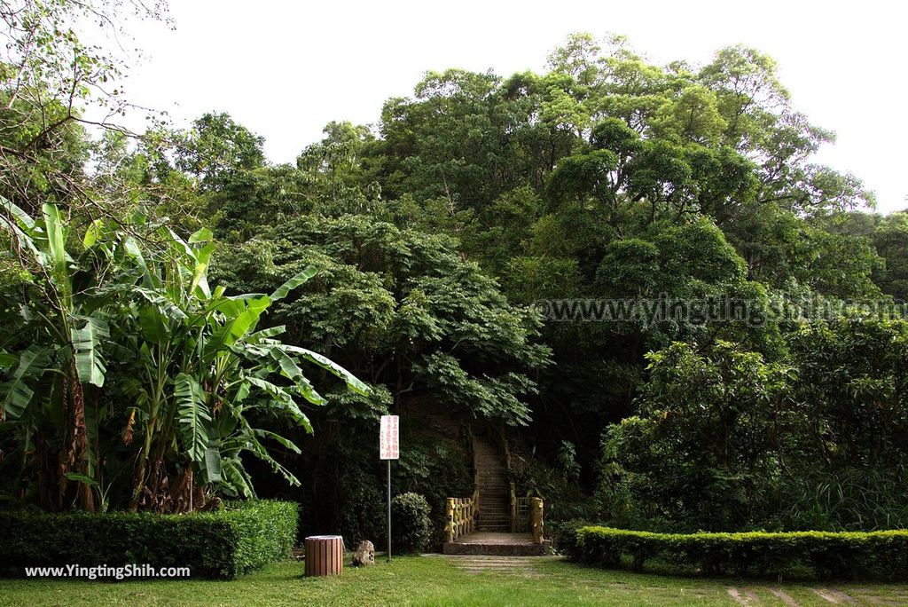 YTS_YTS_20180727_新竹東區高峰植物園／桐花天空之橋Hsinchu East District Gaofeng Botanical Garden070_3A5A2423.jpg