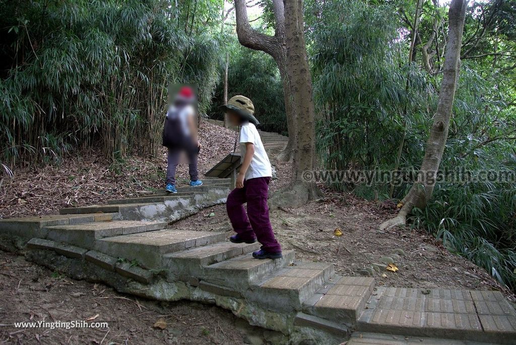 YTS_YTS_20180727_新竹東區高峰植物園／桐花天空之橋Hsinchu East District Gaofeng Botanical Garden073_3A5A2456.jpg