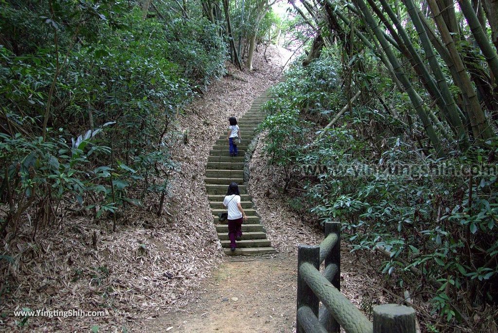 YTS_YTS_20180727_新竹東區高峰植物園／桐花天空之橋Hsinchu East District Gaofeng Botanical Garden086_3A5A2577.jpg