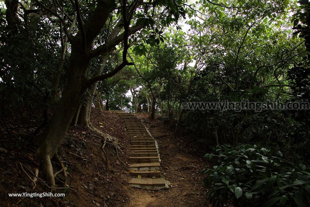 YTS_YTS_20180727_新竹東區高峰植物園／桐花天空之橋Hsinchu East District Gaofeng Botanical Garden094_3A5A2676.jpg