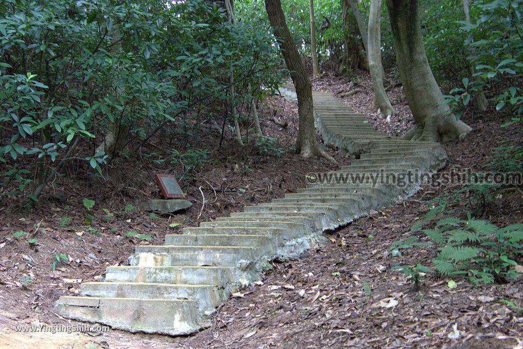 YTS_YTS_20180727_新竹東區高峰植物園／桐花天空之橋Hsinchu East District Gaofeng Botanical Garden103_3A5A2792.jpg