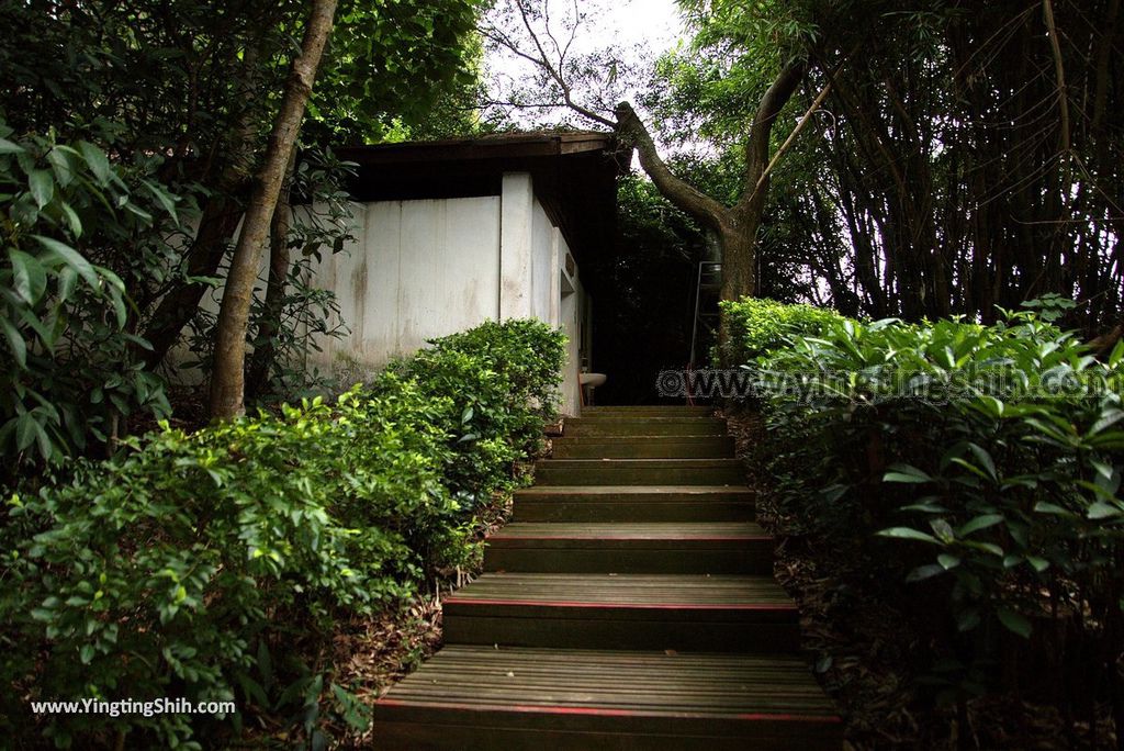 YTS_YTS_20180727_新竹東區高峰植物園／桐花天空之橋Hsinchu East District Gaofeng Botanical Garden111_3A5A2891.jpg