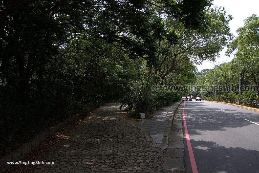 YTS_YTS_20180727_新竹東區高峰植物園／桐花天空之橋Hsinchu East District Gaofeng Botanical Garden151_3A5A3422.jpg