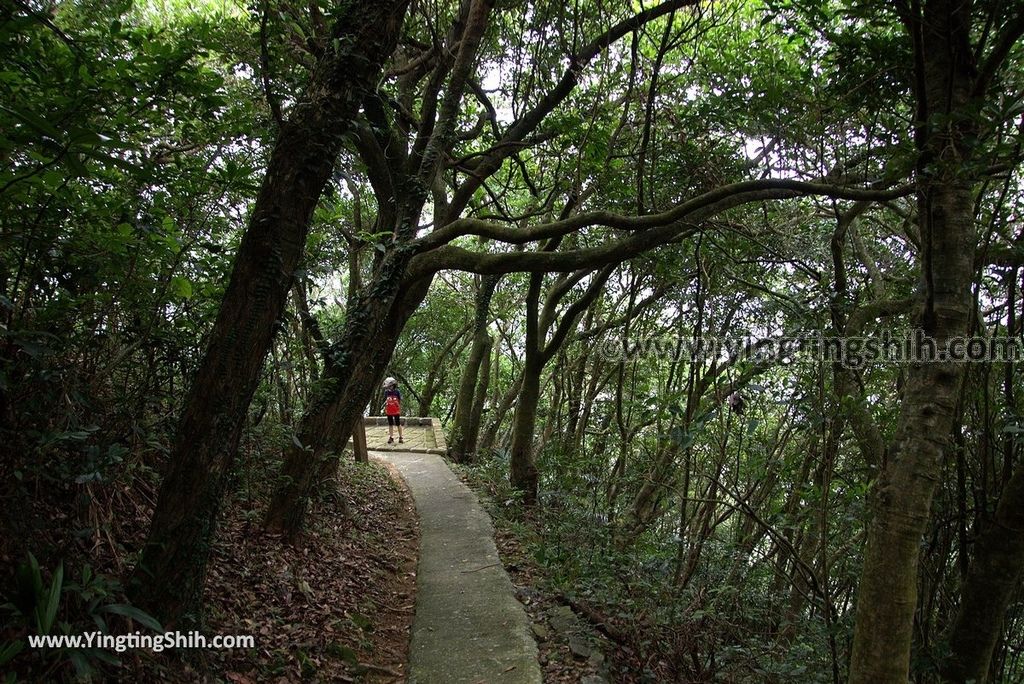 YTS_YTS_20180701_新北貢寮靈鷲山五百羅漢步道New Taipei Gongliao Ling Jiou Mountain Five Hundred Arhats Trail016_3A5A2184.jpg