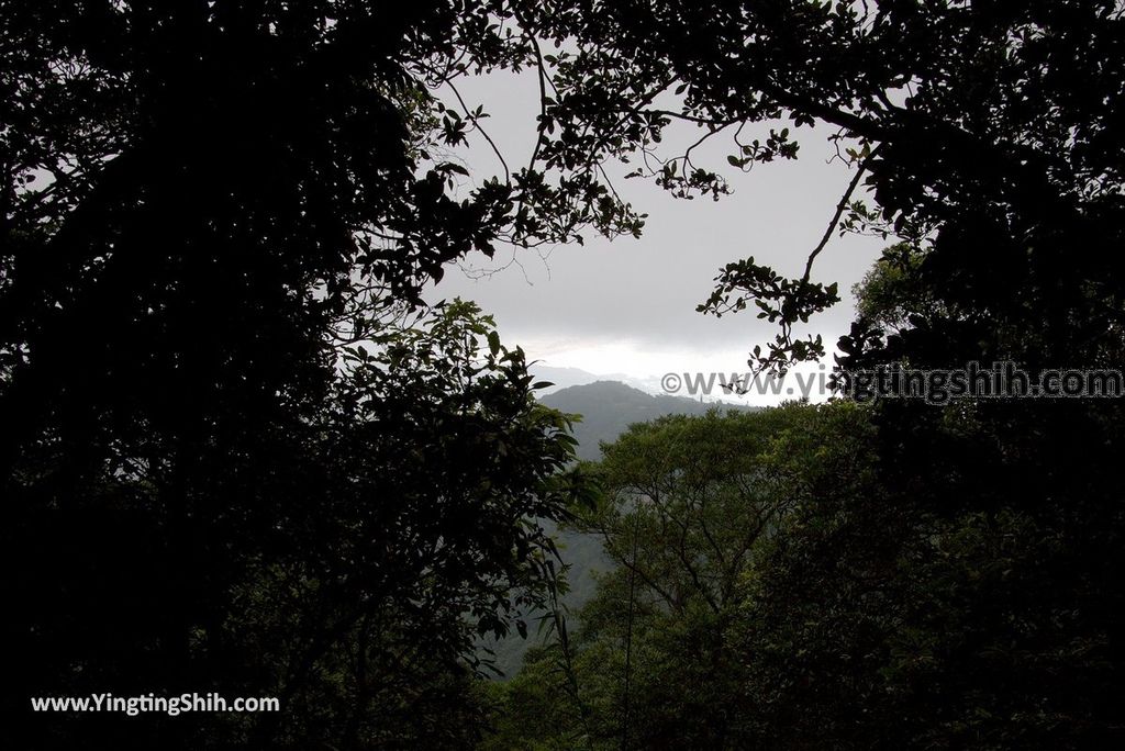 YTS_YTS_20180701_新北貢寮靈鷲山五百羅漢步道New Taipei Gongliao Ling Jiou Mountain Five Hundred Arhats Trail053_3A5A2458.jpg