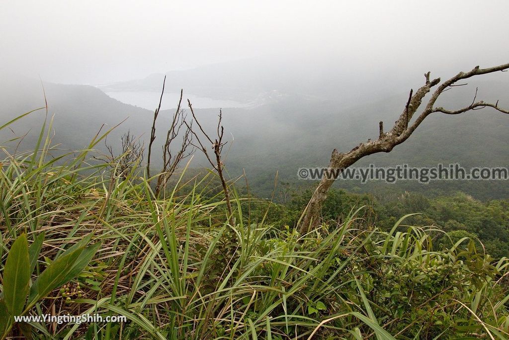 YTS_YTS_20180701_新北貢寮靈鷲山五百羅漢步道New Taipei Gongliao Ling Jiou Mountain Five Hundred Arhats Trail074_3A5A2680.jpg