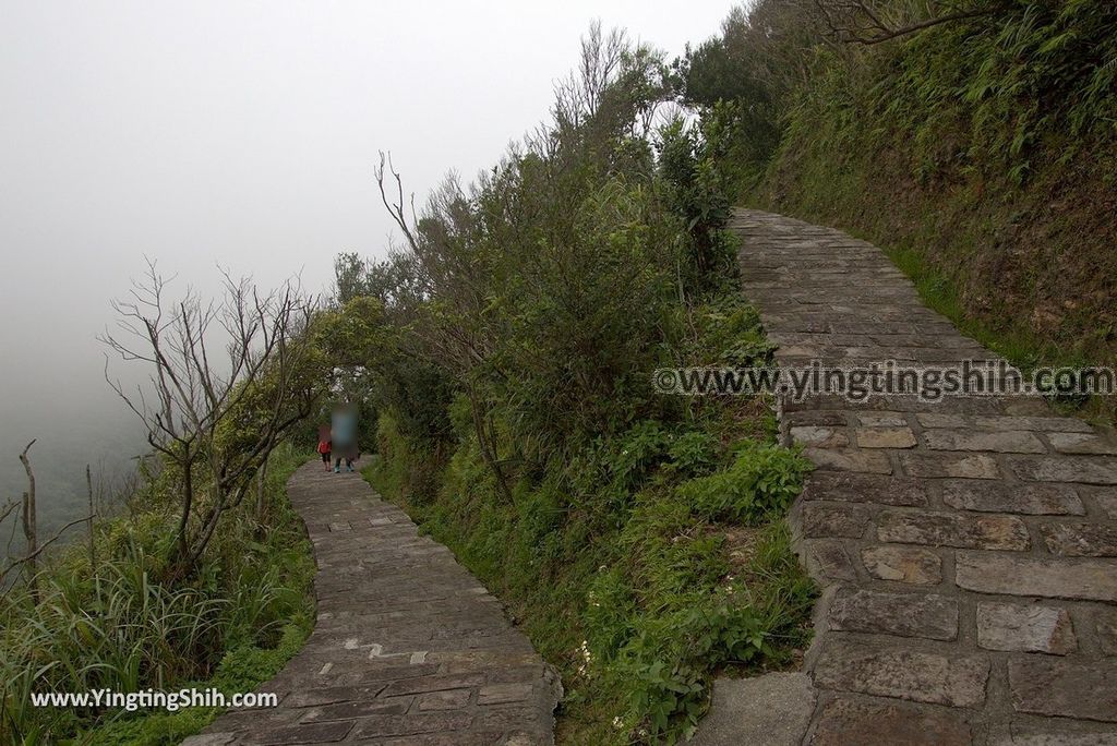 YTS_YTS_20180701_新北貢寮靈鷲山五百羅漢步道New Taipei Gongliao Ling Jiou Mountain Five Hundred Arhats Trail075_3A5A2733.jpg