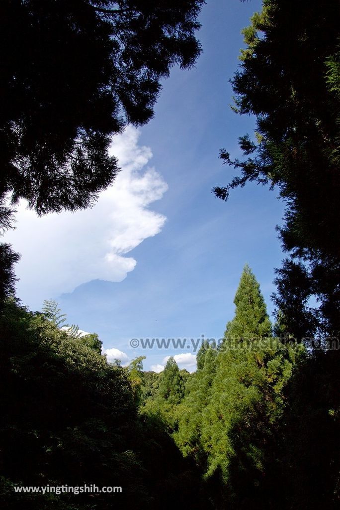 YTS_YTS_20180813_Japan Kyushu Kumamoto Yamaga Historical Park Kikuchi Castle日本九州熊本山鹿歴史公園鞠智城／温故創生館088_3A5A7277.jpg