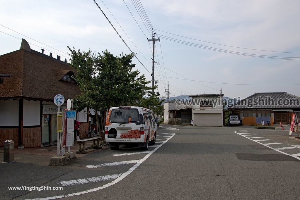 YTS_YTS_20180717_Japan Kansai Wakayama Kishi Station／Tama Museum／Cat日本關西（近畿）和歌山貴志駅／小玉車站001_3A5A1702.jpg