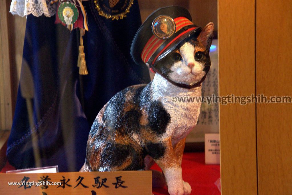 第0939篇 Japan Kansai Wakayama Kishi Station Tama Museum Cat X Attraction Image Navigation 日本關西 近畿 和歌山貴志駅 小玉車站x景點影像導覽 施盈廷 S 施旅行 痞客邦 第0939篇 Japan Kansai Wakayama Kishi Station Tama Museum Cat X Attraction Image Navigation 日本關西 近畿 和歌山貴志駅 小玉車站x景點影像導覽 施盈廷 S 施旅行 痞客邦