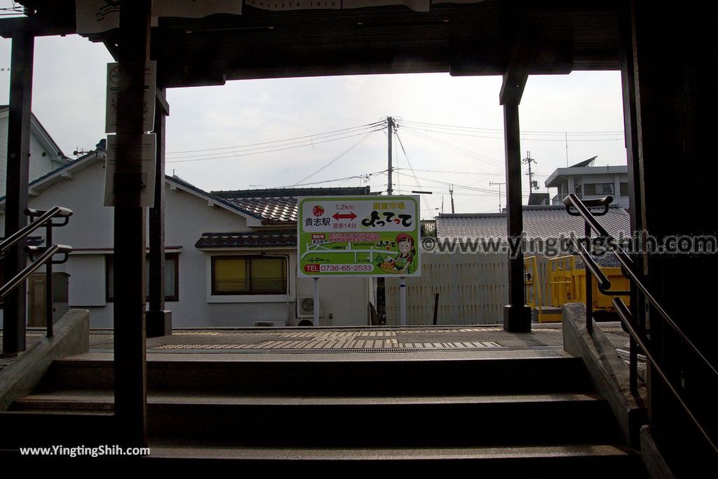 YTS_YTS_20180717_Japan Kansai Wakayama Kishi Station／Tama Museum／Cat日本關西（近畿）和歌山貴志駅／小玉車站033_3A5A1847.jpg