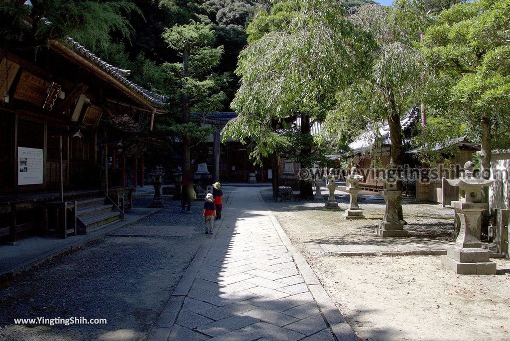 YTS_YTS_20180721_Japan Kansai Osaka Ryuanji日本關西（近畿）大阪箕面瀧安寺／日本最古の弁財天037_3A5A4760.jpg