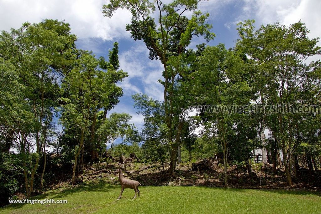 YTS_YTS_20170704_台東卑南知本國家森林遊樂區Taitung Beinan Zhiben National Forest Recreation Area032_3A5A9678.jpg