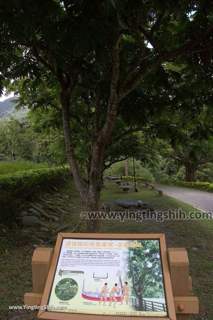 YTS_YTS_20170704_台東卑南知本國家森林遊樂區Taitung Beinan Zhiben National Forest Recreation Area039_3A5A9709.jpg