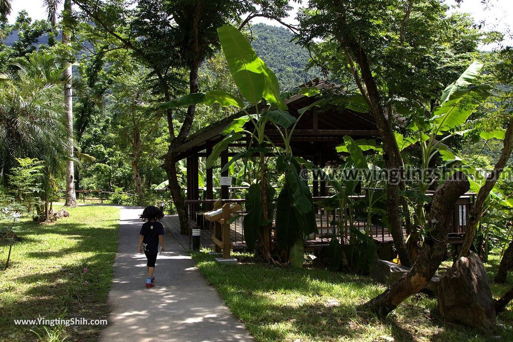 YTS_YTS_20170704_台東卑南知本國家森林遊樂區Taitung Beinan Zhiben National Forest Recreation Area111_3A5A9874.jpg