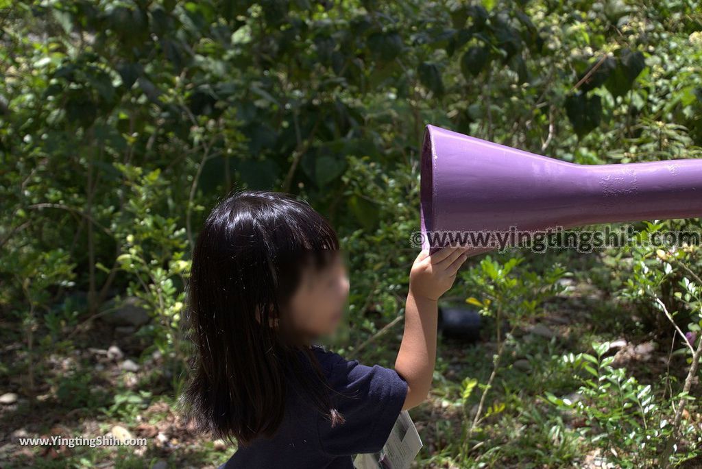 YTS_YTS_20170704_台東卑南知本國家森林遊樂區Taitung Beinan Zhiben National Forest Recreation Area132_3A5A9934.jpg