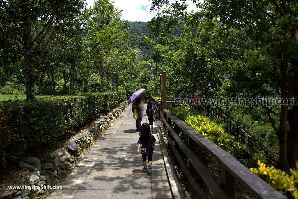 YTS_YTS_20170704_台東卑南知本國家森林遊樂區Taitung Beinan Zhiben National Forest Recreation Area160_3A5A0058.jpg