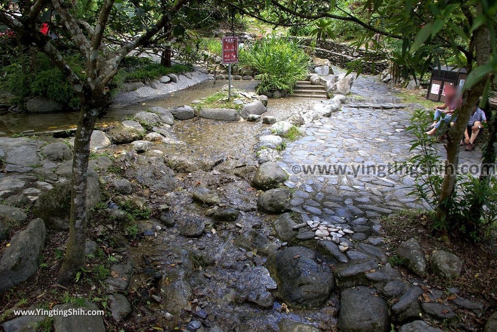 YTS_YTS_20170704_台東卑南知本國家森林遊樂區Taitung Beinan Zhiben National Forest Recreation Area185_3A5A0174.jpg