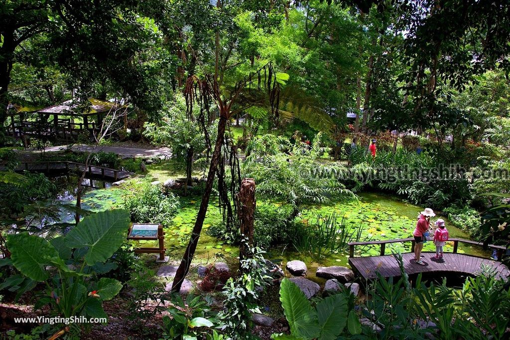 YTS_YTS_20170704_台東卑南知本國家森林遊樂區Taitung Beinan Zhiben National Forest Recreation Area199_3A5A0252.jpg YTS_YTS_20170704_台東卑南知本國家森林遊樂區Taitung Beinan Zhiben National Forest Recreation Area199_3A5A0252.jpg