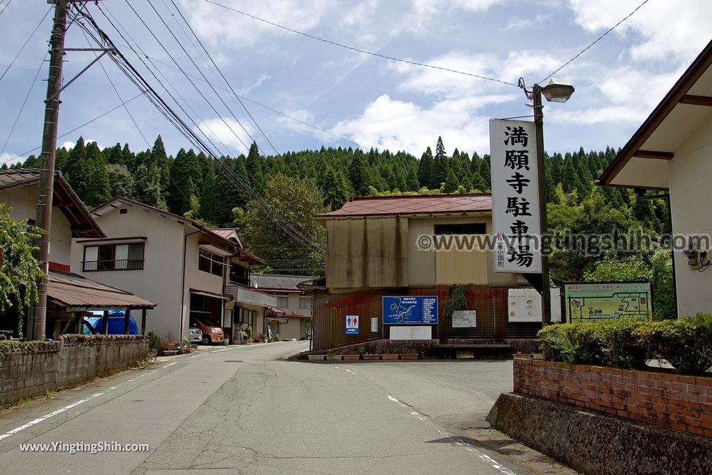 YTS_YTS_20180812_Japan Kyushu Kumamoto Aso Manganji日本九州熊本阿蘇滿願寺／滿山神社／金毘羅杉001_3A5A9210.jpg