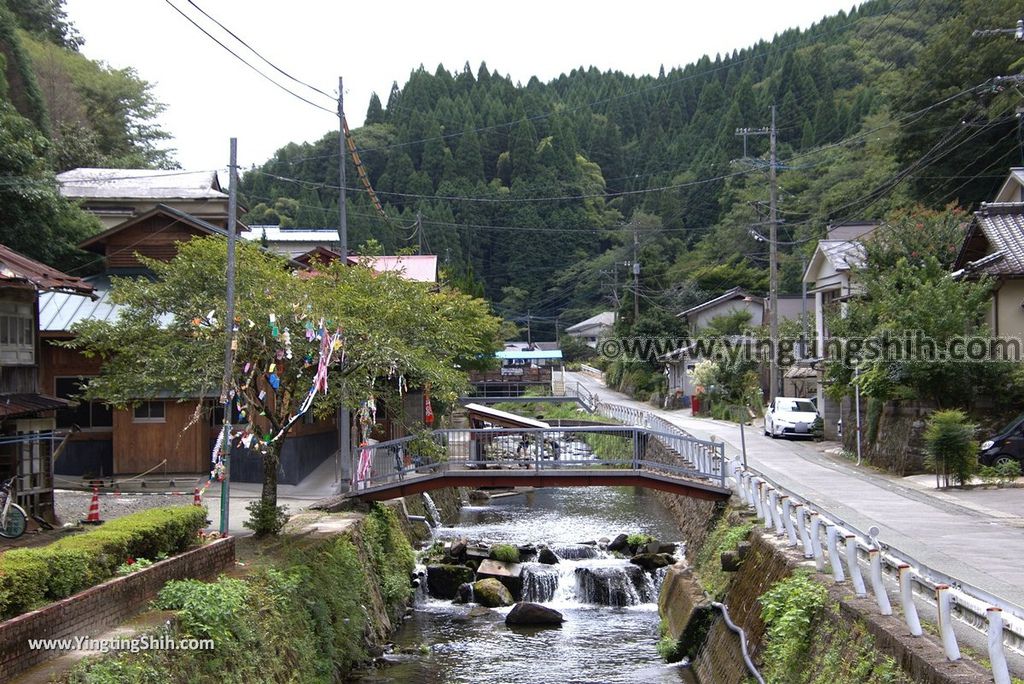 YTS_YTS_20180812_Japan Kyushu Kumamoto Aso Manganji日本九州熊本阿蘇滿願寺／滿山神社／金毘羅杉012_3A5A9254.jpg