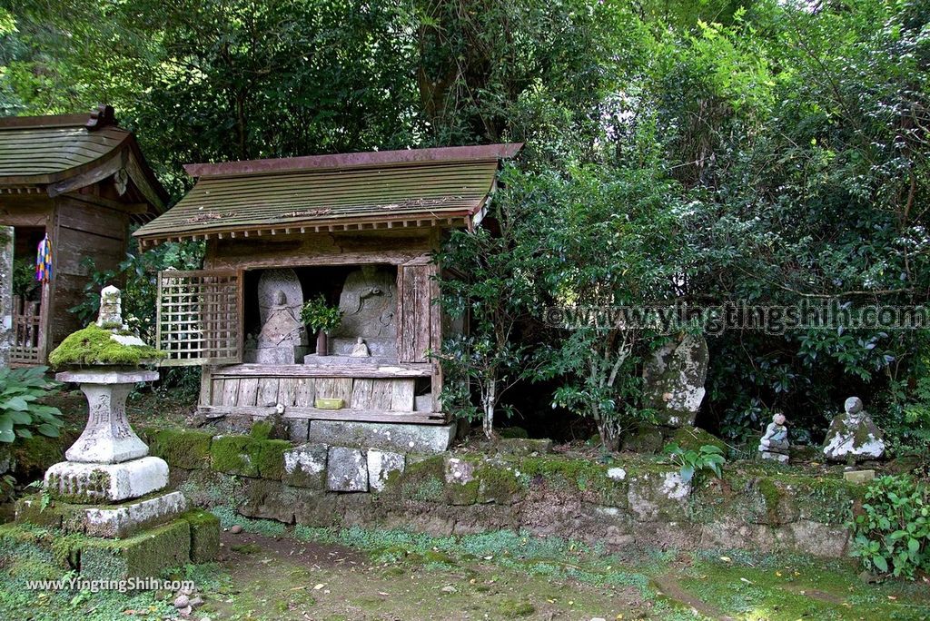 YTS_YTS_20180812_Japan Kyushu Kumamoto Aso Manganji日本九州熊本阿蘇滿願寺／滿山神社／金毘羅杉025_3A5A9376.jpg