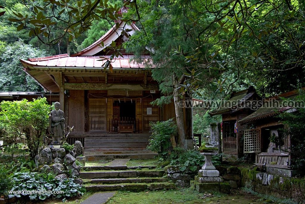 YTS_YTS_20180812_Japan Kyushu Kumamoto Aso Manganji日本九州熊本阿蘇滿願寺／滿山神社／金毘羅杉030_3A5A9373.jpg