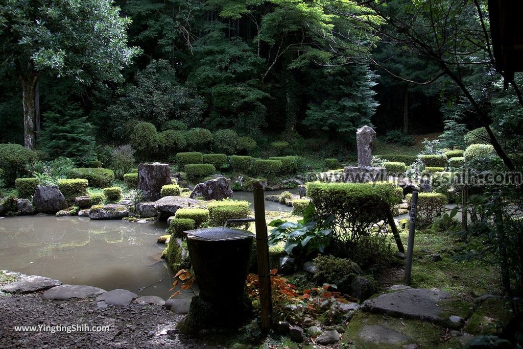 YTS_YTS_20180812_Japan Kyushu Kumamoto Aso Manganji日本九州熊本阿蘇滿願寺／滿山神社／金毘羅杉032_3A5A9400.jpg