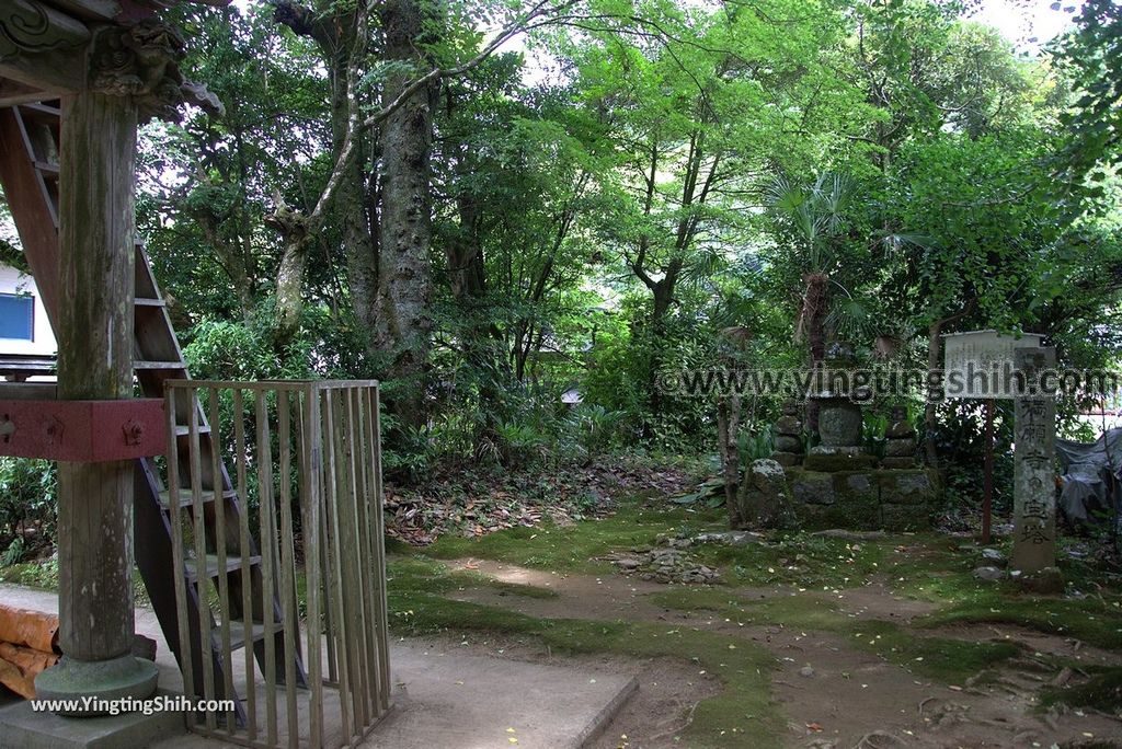 YTS_YTS_20180812_Japan Kyushu Kumamoto Aso Manganji日本九州熊本阿蘇滿願寺／滿山神社／金毘羅杉043_3A5A9471.jpg