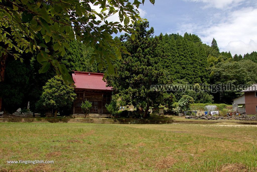 YTS_YTS_20180812_Japan Kyushu Kumamoto Aso Manganji日本九州熊本阿蘇滿願寺／滿山神社／金毘羅杉057_3A5A0988.jpg