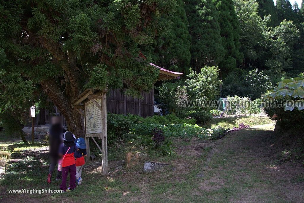 YTS_YTS_20180812_Japan Kyushu Kumamoto Aso Manganji日本九州熊本阿蘇滿願寺／滿山神社／金毘羅杉060_3A5A3304.jpg