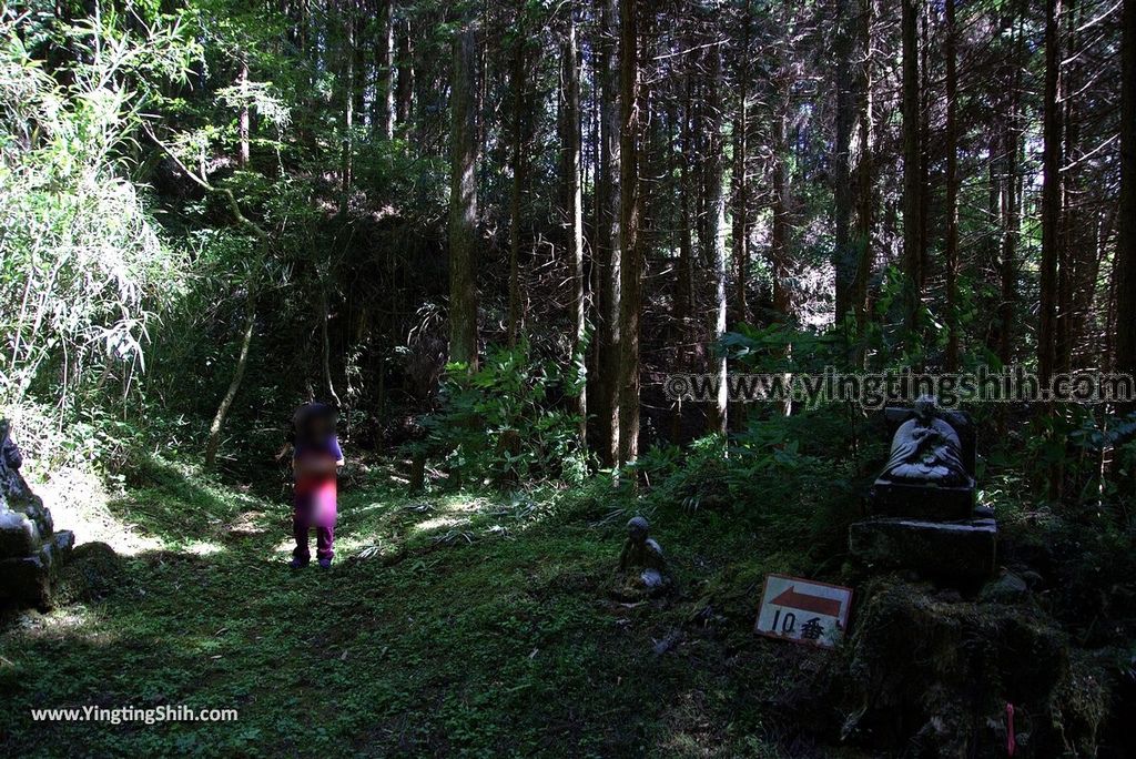 YTS_YTS_20180812_Japan Kyushu Kumamoto Aso Manganji日本九州熊本阿蘇滿願寺／滿山神社／金毘羅杉068_3A5A3254.jpg