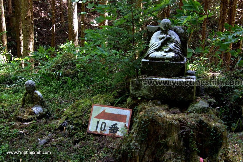 YTS_YTS_20180812_Japan Kyushu Kumamoto Aso Manganji日本九州熊本阿蘇滿願寺／滿山神社／金毘羅杉069_3A5A3261.jpg