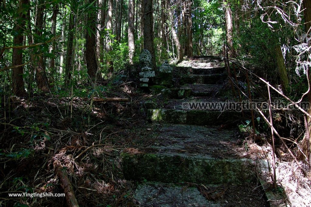 YTS_YTS_20180812_Japan Kyushu Kumamoto Aso Manganji日本九州熊本阿蘇滿願寺／滿山神社／金毘羅杉070_3A5A3241.jpg