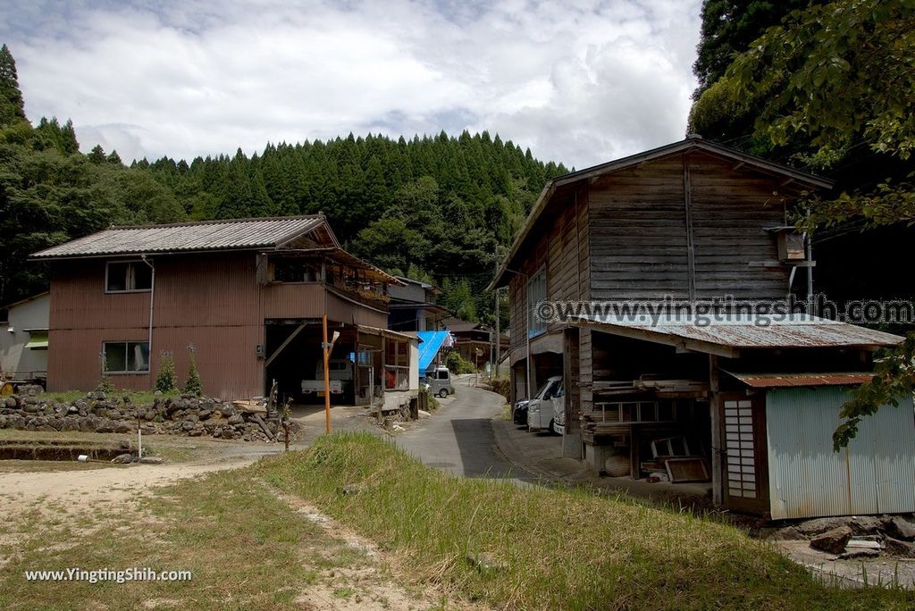 YTS_YTS_20180812_Japan Kyushu Kumamoto Aso Manganji日本九州熊本阿蘇滿願寺／滿山神社／金毘羅杉074_3A5A1007.jpg