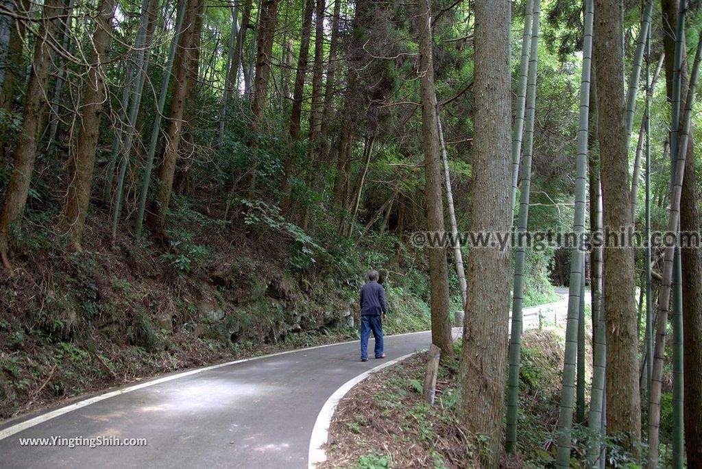 YTS_YTS_20180812_Japan Kyushu Kumamoto Aso Manganji日本九州熊本阿蘇滿願寺／滿山神社／金毘羅杉075_3A5A1073.jpg