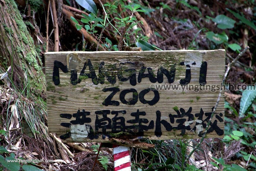 YTS_YTS_20180812_Japan Kyushu Kumamoto Aso Manganji日本九州熊本阿蘇滿願寺／滿山神社／金毘羅杉078_3A5A1091.jpg