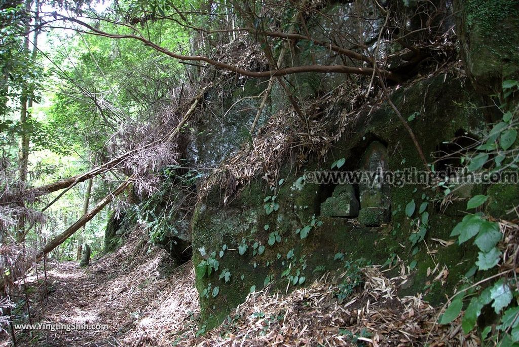 YTS_YTS_20180812_Japan Kyushu Kumamoto Aso Manganji日本九州熊本阿蘇滿願寺／滿山神社／金毘羅杉087_3A5A1160.jpg