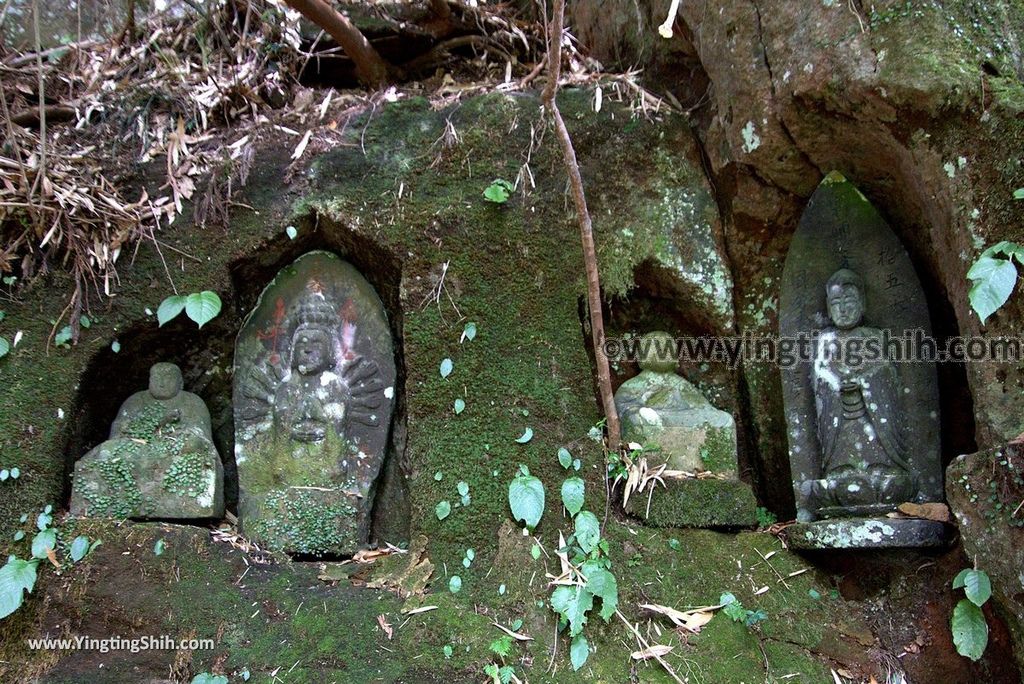 YTS_YTS_20180812_Japan Kyushu Kumamoto Aso Manganji日本九州熊本阿蘇滿願寺／滿山神社／金毘羅杉088_3A5A1164.jpg