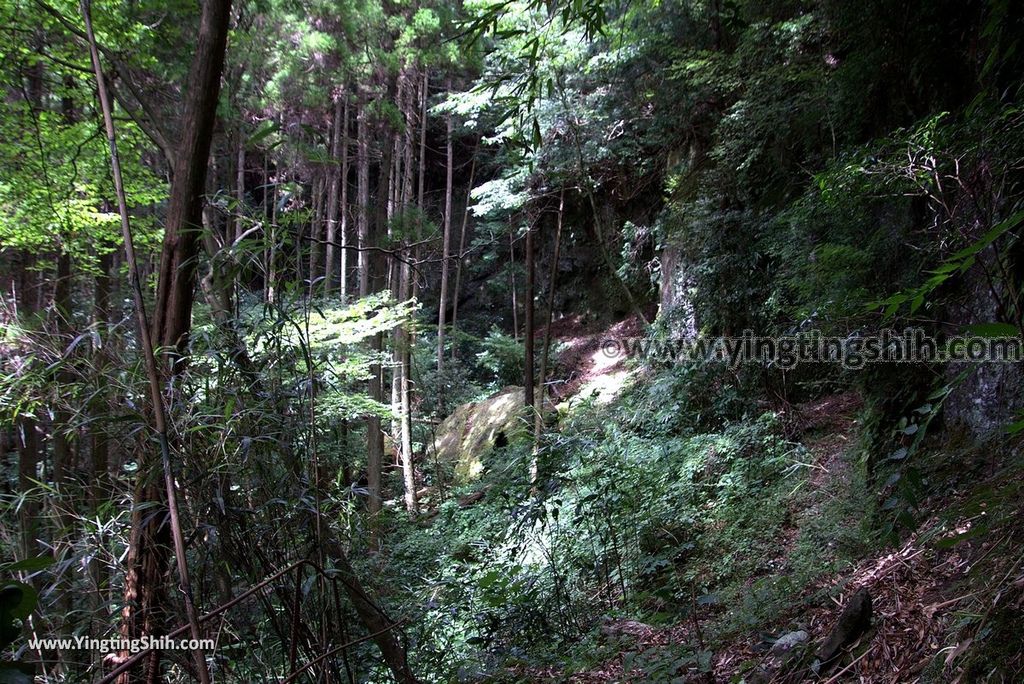 YTS_YTS_20180812_Japan Kyushu Kumamoto Aso Manganji日本九州熊本阿蘇滿願寺／滿山神社／金毘羅杉091_3A5A1176.jpg