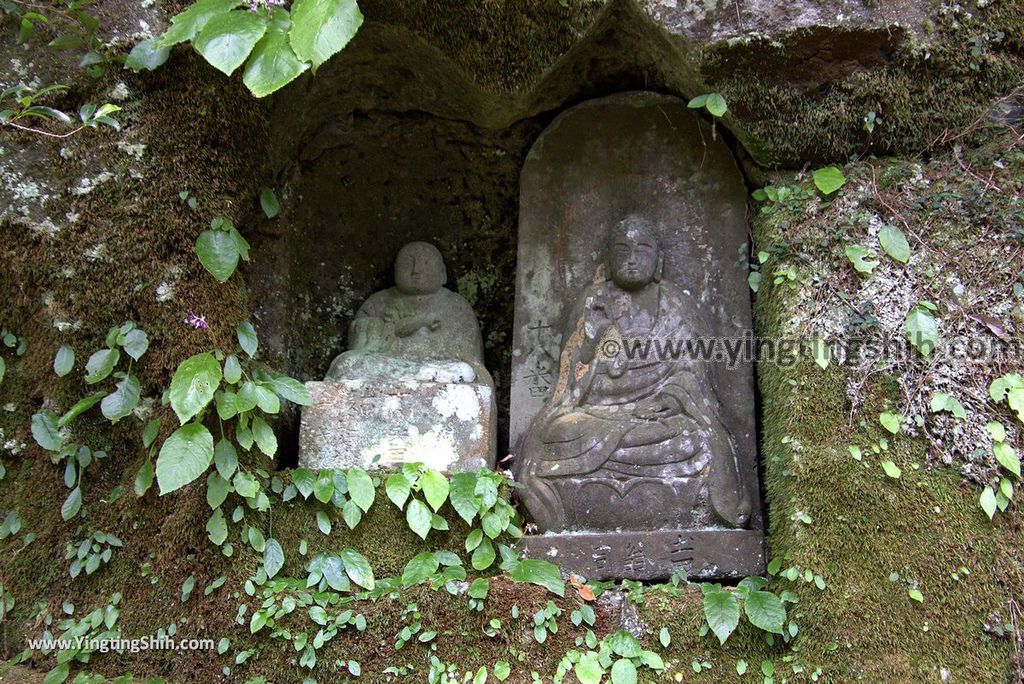 YTS_YTS_20180812_Japan Kyushu Kumamoto Aso Manganji日本九州熊本阿蘇滿願寺／滿山神社／金毘羅杉092_3A5A1182.jpg