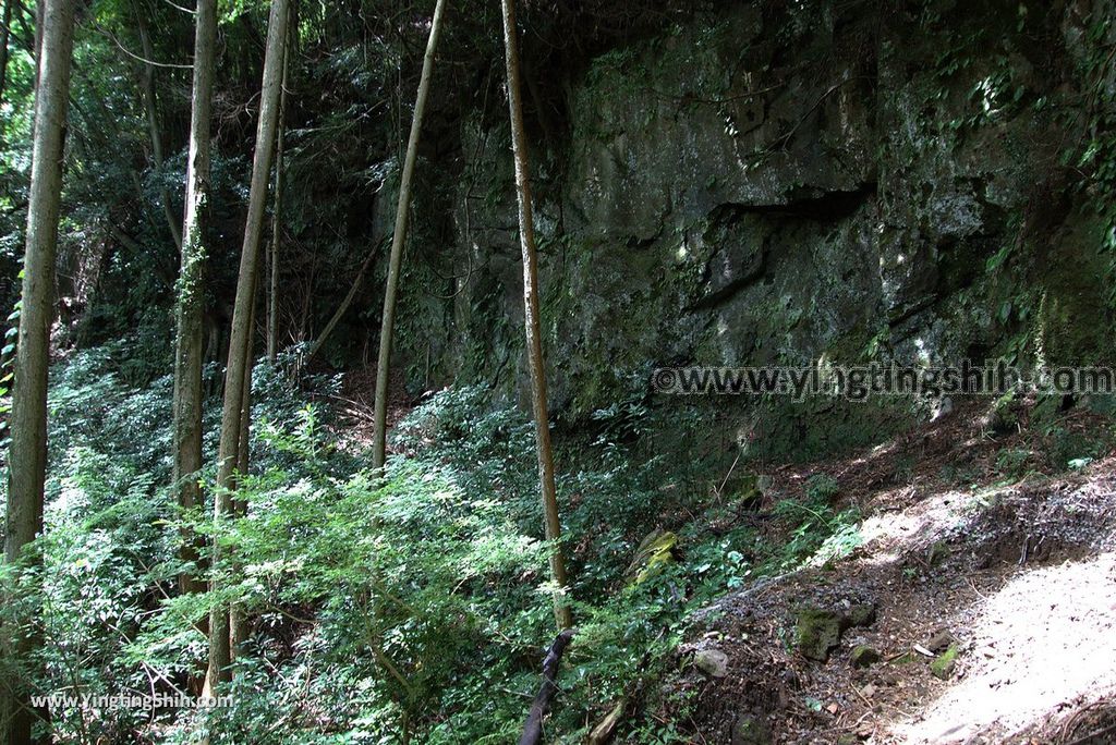 YTS_YTS_20180812_Japan Kyushu Kumamoto Aso Manganji日本九州熊本阿蘇滿願寺／滿山神社／金毘羅杉095_3A5A1200.jpg