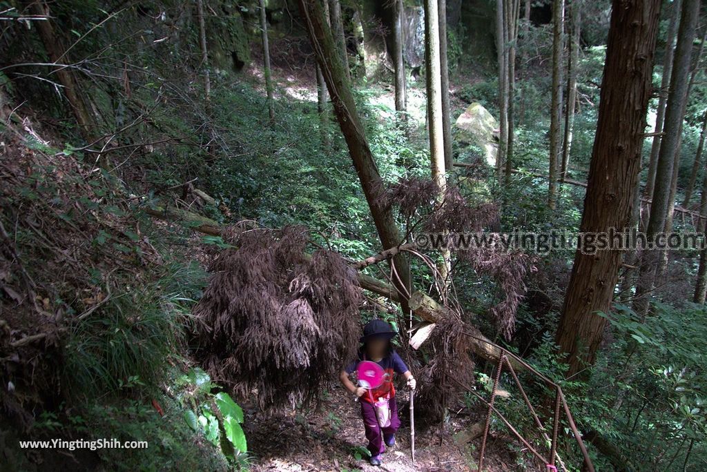 YTS_YTS_20180812_Japan Kyushu Kumamoto Aso Manganji日本九州熊本阿蘇滿願寺／滿山神社／金毘羅杉097_3A5A1223.jpg