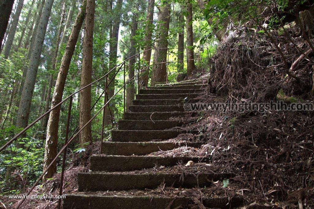 YTS_YTS_20180812_Japan Kyushu Kumamoto Aso Manganji日本九州熊本阿蘇滿願寺／滿山神社／金毘羅杉100_3A5A1226.jpg